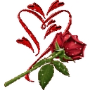 Coonomagic logo