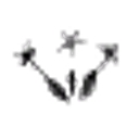 Wild Garden Seed logo