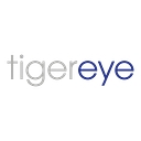 Tigereye Consulting logo