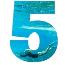 5 Lost Together logo