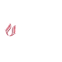 Turkish Towels logo