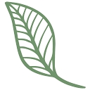 Dani's Healthy Eats logo