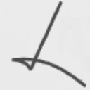 Litvin Photo logo