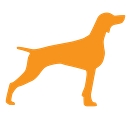 Pet Boss Nation logo