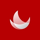 Firebird Tours logo