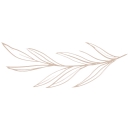 Prenup.com logo