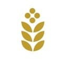 LifeviF logo