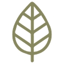 The AdLeaf logo