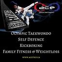 ACE Taekwondo logo