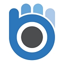 Bluewrist logo