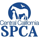 CCSPCA logo