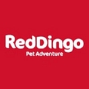 Red Dingo logo