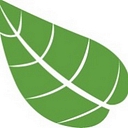 Rayne Nutrition logo