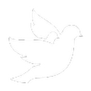 Peaceful Presence Divorce Coaching logo
