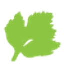 Parsley Software logo