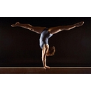 AllGymnasts logo