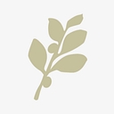 NATULIQUE logo