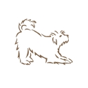 The Local Bark logo