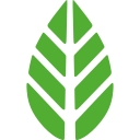 Moya Matcha logo