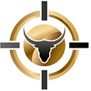 Precision Tech Solutions logo
