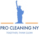 Pro Cleaning NY logo