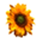 Assisted Cares logo