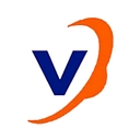 Viasion logo