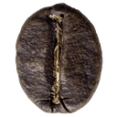 Method Coffee logo