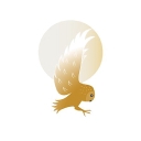 Hungry Owl Project logo