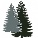 Nargi Landscaping logo