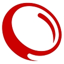 The-Digital-Picture logo