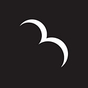 Rare Bird Inc. logo