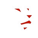 LionOBytes logo