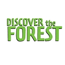 Discover the Forest logo