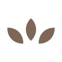 Root Health logo