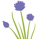 Healthy Seasonal Recipes logo