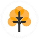 Pear Agronomy logo