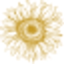 Katie Spring logo
