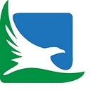 Bird's Eye Marketing logo