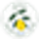 Raw Inspiration logo
