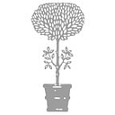 JANUS et Cie logo