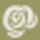 Timeless Flowers logo