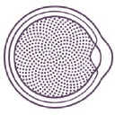 New York Ophthalmology logo