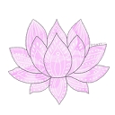 Northern Virginia Functional Medicine logo