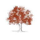 Pristine Landscaping & Lighting logo