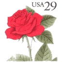 ROSESU logo