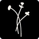 AKIKOS logo