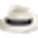 Sinatra logo