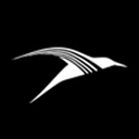 dzyne.com favicon