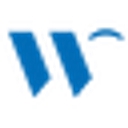 Wink Condoms logo